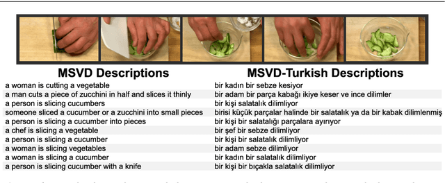 Figure 3 for MSVD-Turkish: A Comprehensive Multimodal Dataset for Integrated Vision and Language Research in Turkish