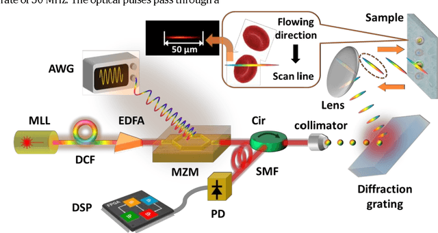 Figure 2 for High-speed real-time single-pixel microscopy based on Fourier sampling