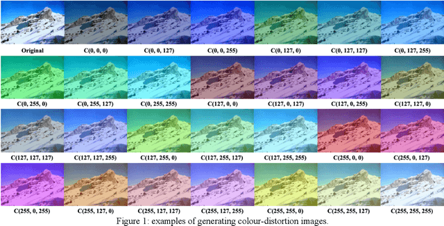 Figure 1 for Impact of Colour Variation on Robustness of Deep Neural Networks