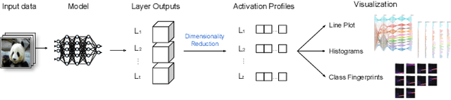 Figure 1 for Explainable Adversarial Attacks in Deep Neural Networks Using Activation Profiles