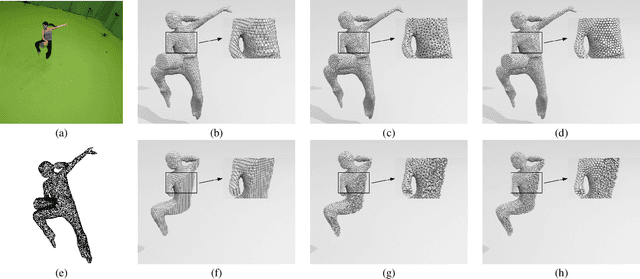 Figure 4 for Shape Animation with Combined Captured and Simulated Dynamics