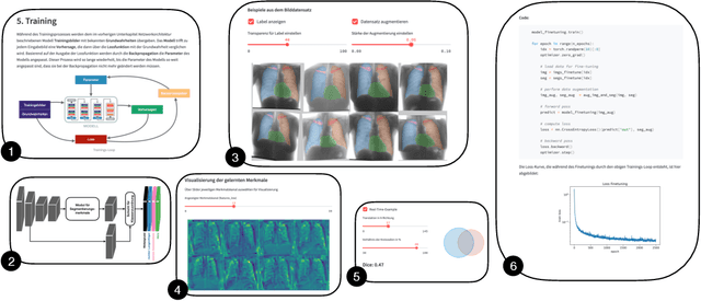 Figure 1 for Learn2Trust: A video and streamlit-based educational programme for AI-based medical image analysis targeted towards medical students