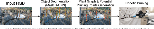 Figure 2 for Grapevine Winter Pruning Automation: On Potential Pruning Points Detection through 2D Plant Modeling using Grapevine Segmentation
