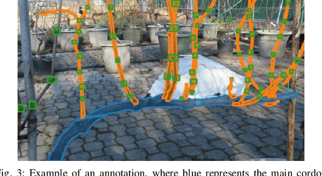 Figure 3 for Grapevine Winter Pruning Automation: On Potential Pruning Points Detection through 2D Plant Modeling using Grapevine Segmentation