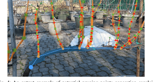 Figure 4 for Grapevine Winter Pruning Automation: On Potential Pruning Points Detection through 2D Plant Modeling using Grapevine Segmentation