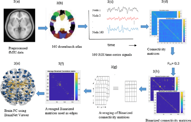 Figure 3 for Reorganization of resting state brain network functional connectivity across human brain developmental stages