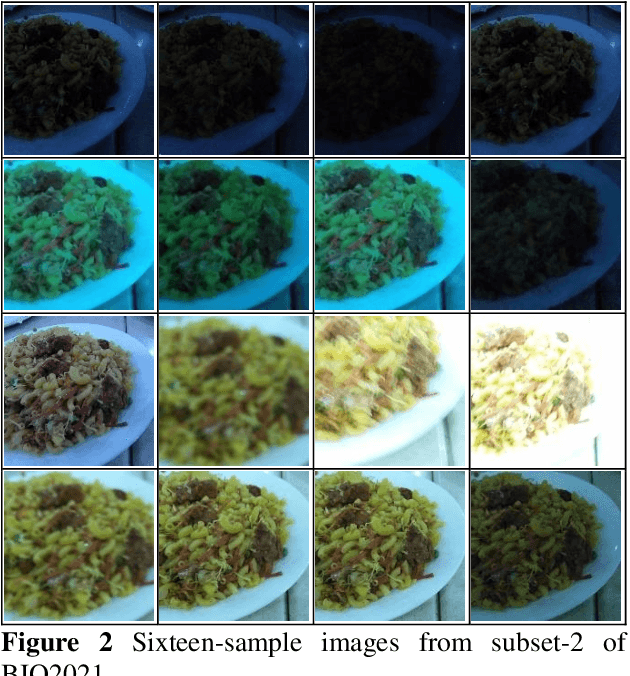 Figure 3 for BIQ2021: A Large-Scale Blind Image Quality Assessment Database