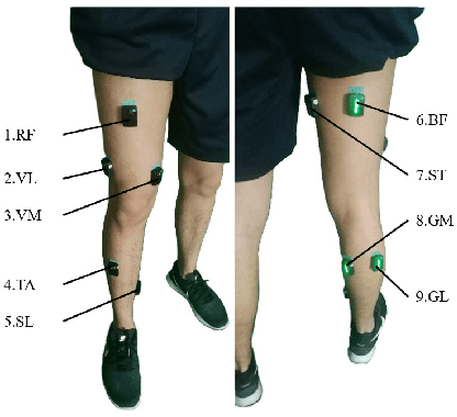 Figure 4 for Continuous Prediction of Lower-Limb Kinematics From Multi-Modal Biomedical Signals
