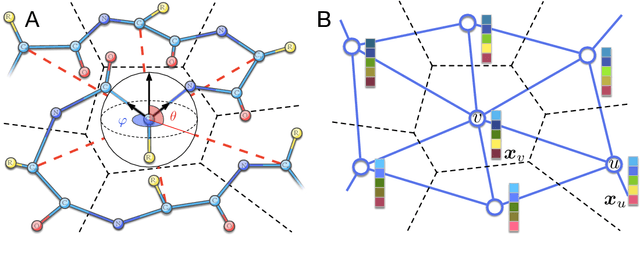 Figure 1 for Spherical convolutions on molecular graphs for protein model quality assessment