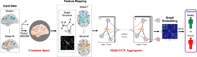 Figure 1 for Multiplex Graph Networks for Multimodal Brain Network Analysis