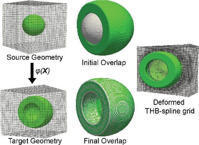 Figure 1 for PDE-constrained shape registration to characterize biological growth and morphogenesis from imaging data