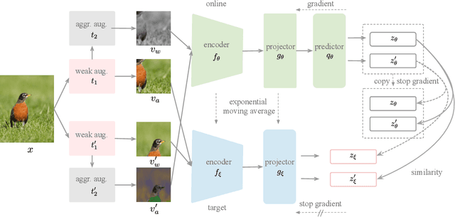 Figure 3 for MSR: Making Self-supervised learning Robust to Aggressive Augmentations