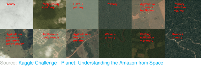 Figure 3 for Multi-Label Classification on Remote-Sensing Images