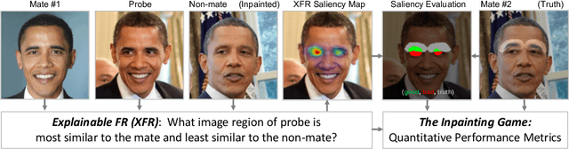 Figure 1 for Explainable Face Recognition