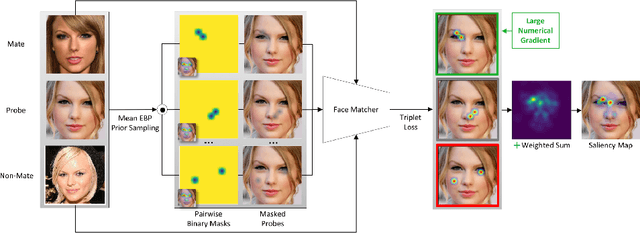Figure 4 for Explainable Face Recognition