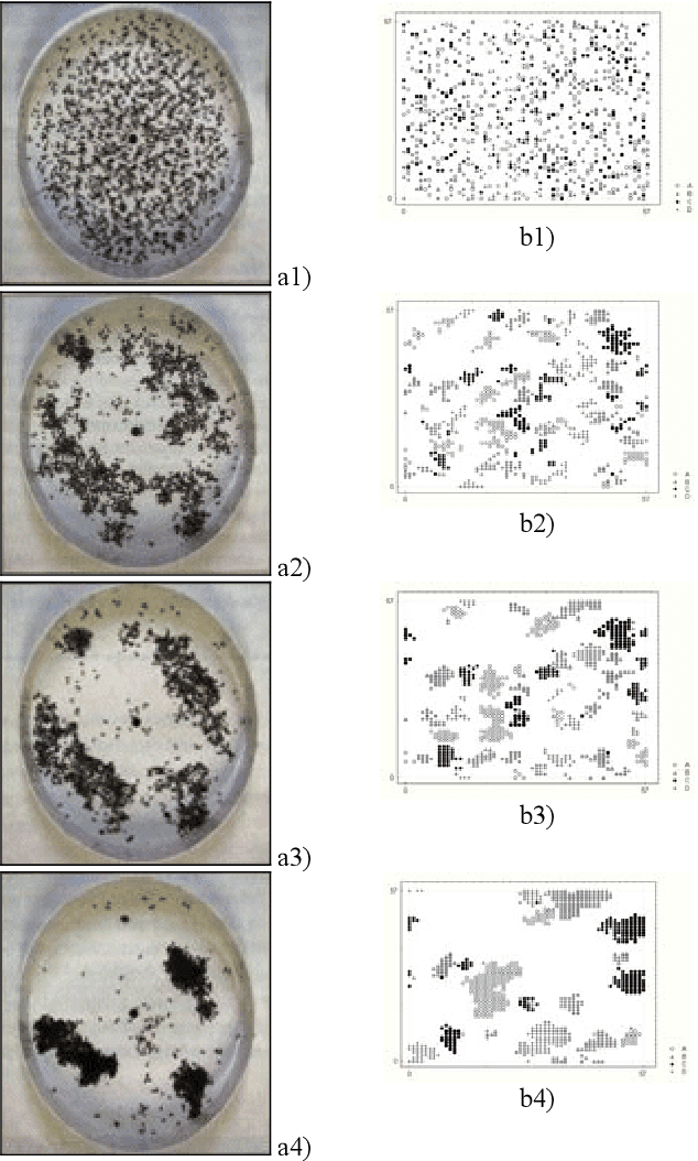 Figure 4 for Swarming around Shellfish Larvae