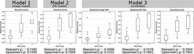 Figure 3 for Automatic and explainable grading of meningiomas from histopathology images