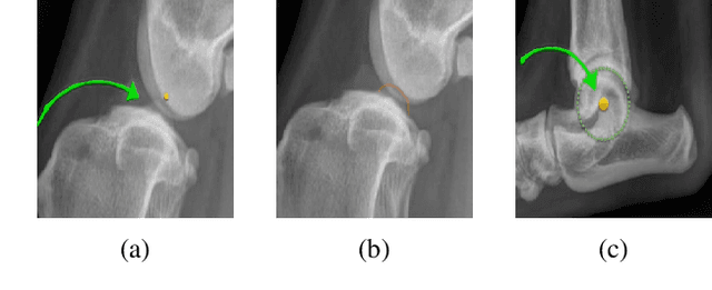 Figure 2 for Auto-Detection of Tibial Plateau Angle in Canine Radiographs Using a Deep Learning Approach
