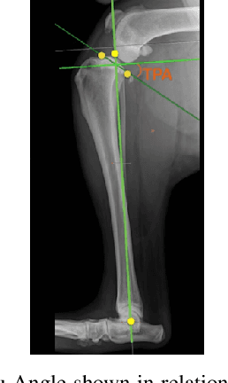 Figure 3 for Auto-Detection of Tibial Plateau Angle in Canine Radiographs Using a Deep Learning Approach