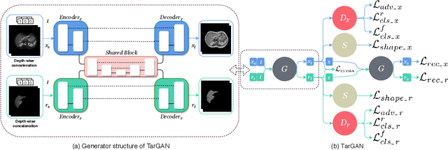 Figure 3 for TarGAN: Target-Aware Generative Adversarial Networks for Multi-modality Medical Image Translation