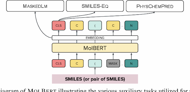 Figure 1 for Molecular representation learning with language models and domain-relevant auxiliary tasks