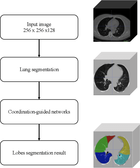 Figure 1 for Automated Segmentation of Pulmonary Lobes using Coordination-Guided Deep Neural Networks