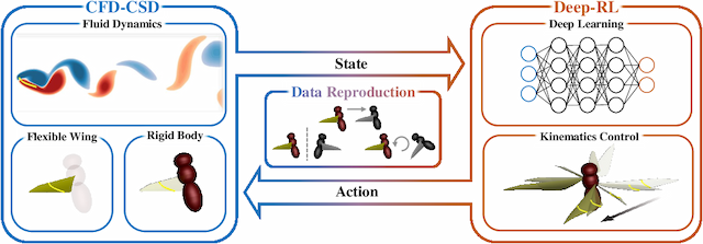 Figure 1 for Control of a fly-mimicking flyer in complex flow using deep reinforcement learning