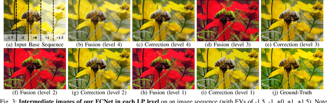 Figure 3 for Fusion-Correction Network for Single-Exposure Correction and Multi-Exposure Fusion