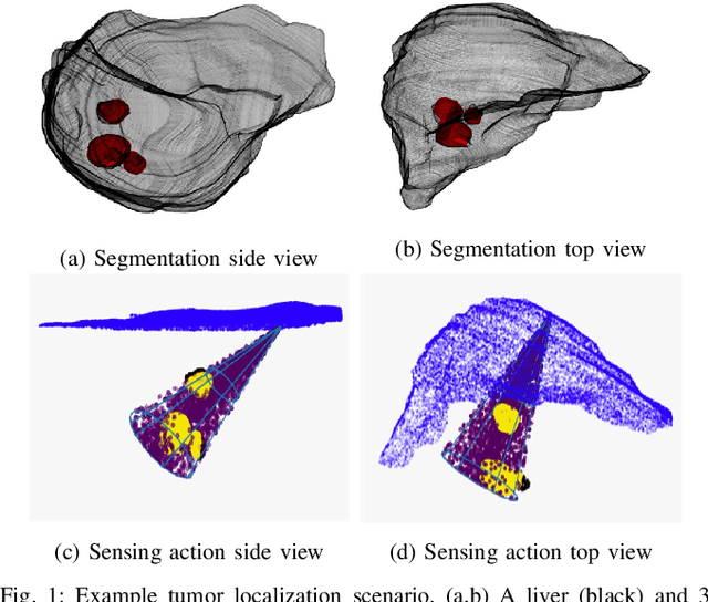Figure 1 for Planning Sensing Sequences for Subsurface 3D Tumor Mapping