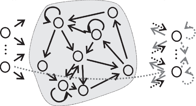 Figure 1 for Imposing Connectome-Derived Topology on an Echo State Network