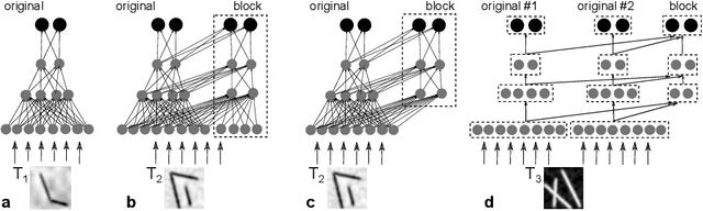 Figure 1 for Knowledge transfer in deep block-modular neural networks