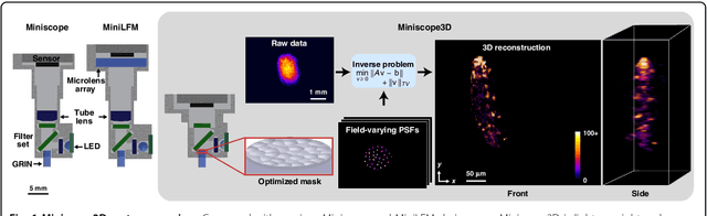Figure 1 for Miniscope3D: optimized single-shot miniature 3D fluorescence microscopy