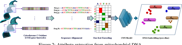 Figure 2 for Fine-Grained Zero-Shot Learning with DNA as Side Information