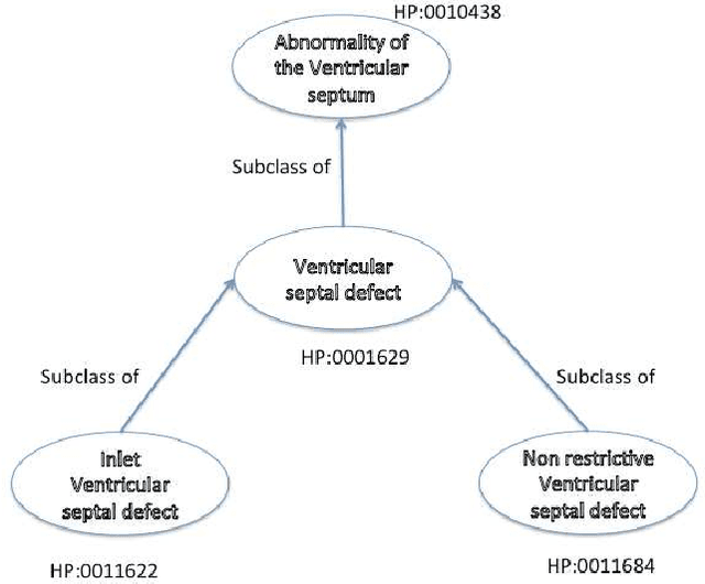 Figure 1 for Learning Weighted Association Rules in Human Phenotype Ontology