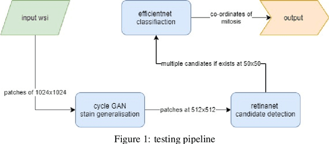 Figure 1 for Robust Multi-Domain Mitosis Detection