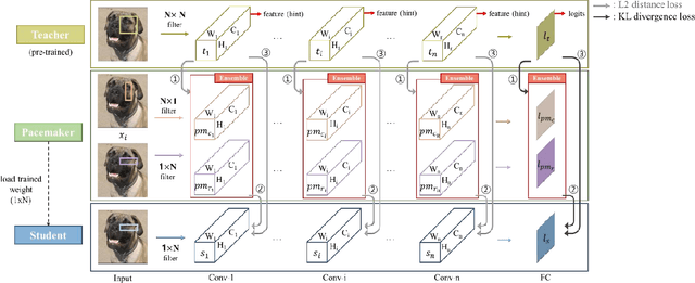 Figure 3 for Pacemaker: Intermediate Teacher Knowledge Distillation For On-The-Fly Convolutional Neural Network