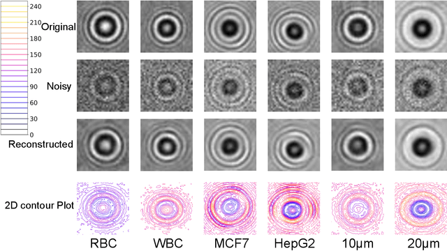 Figure 3 for Machine learning based lens-free imaging technique for field-portable cytometry