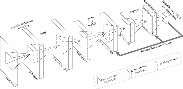 Figure 1 for Combining STDP and Reward-Modulated STDP in Deep Convolutional Spiking Neural Networks for Digit Recognition