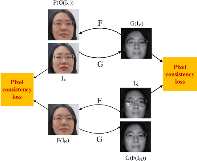 Figure 3 for Facial Feature Embedded CycleGAN for VIS-NIR Translation