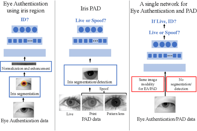 Figure 1 for EyePAD++: A Distillation-based approach for joint Eye Authentication and Presentation Attack Detection using Periocular Images