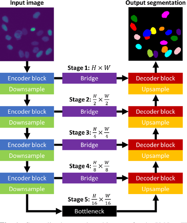 Figure 1 for Training a universal instance segmentation network for live cell images of various cell types and imaging modalities