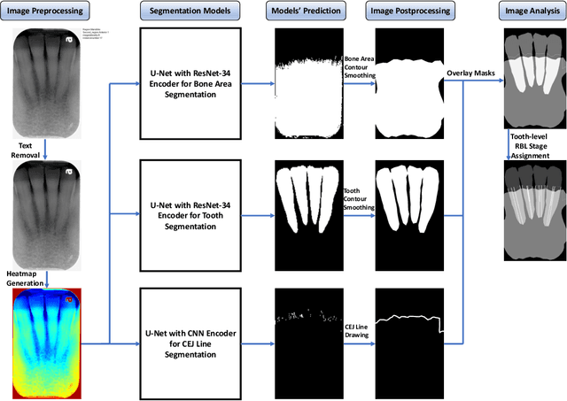 Figure 1 for Use of the Deep Learning Approach to Measure Alveolar Bone Level