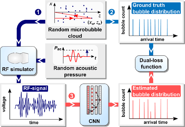 Figure 1 for Super-Resolved Microbubble Localization in Single-Channel Ultrasound RF Signals Using Deep Learning