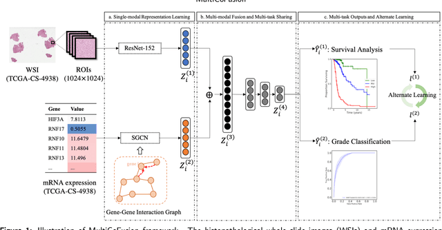 Figure 1 for A Multi-modal Fusion Framework Based on Multi-task Correlation Learning for Cancer Prognosis Prediction