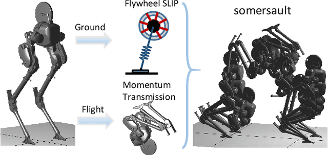 Figure 1 for Sequential Motion Planning for Bipedal Somersault via Flywheel SLIP and Momentum Transmission with Task Space Control