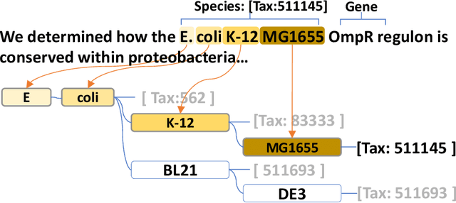 Figure 2 for Assigning Species Information to Corresponding Genes by a Sequence Labeling Framework