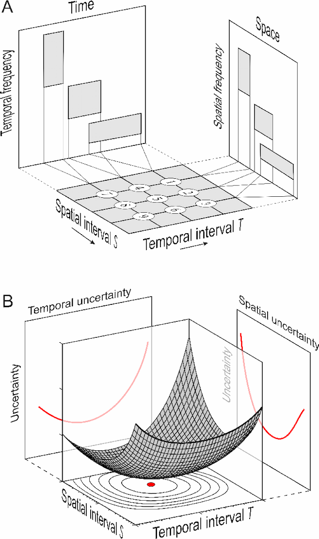 Figure 3 for Optimal measurement of visual motion across spatial and temporal scales
