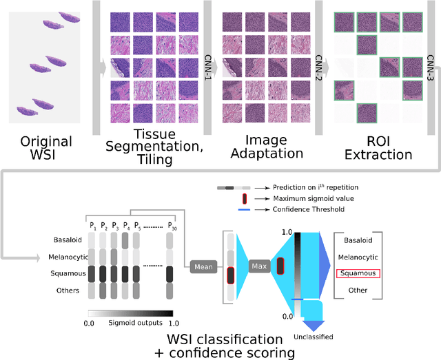 Figure 1 for Augmenting the Pathology Lab: An Intelligent Whole Slide Image Classification System for the Real World