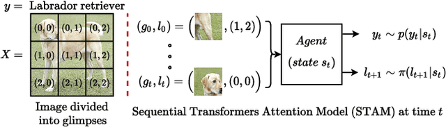 Figure 1 for Consistency driven Sequential Transformers Attention Model for Partially Observable Scenes