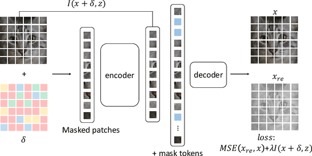 Figure 1 for MIMIR: Masked Image Modeling for Mutual Information-based Adversarial Robustness